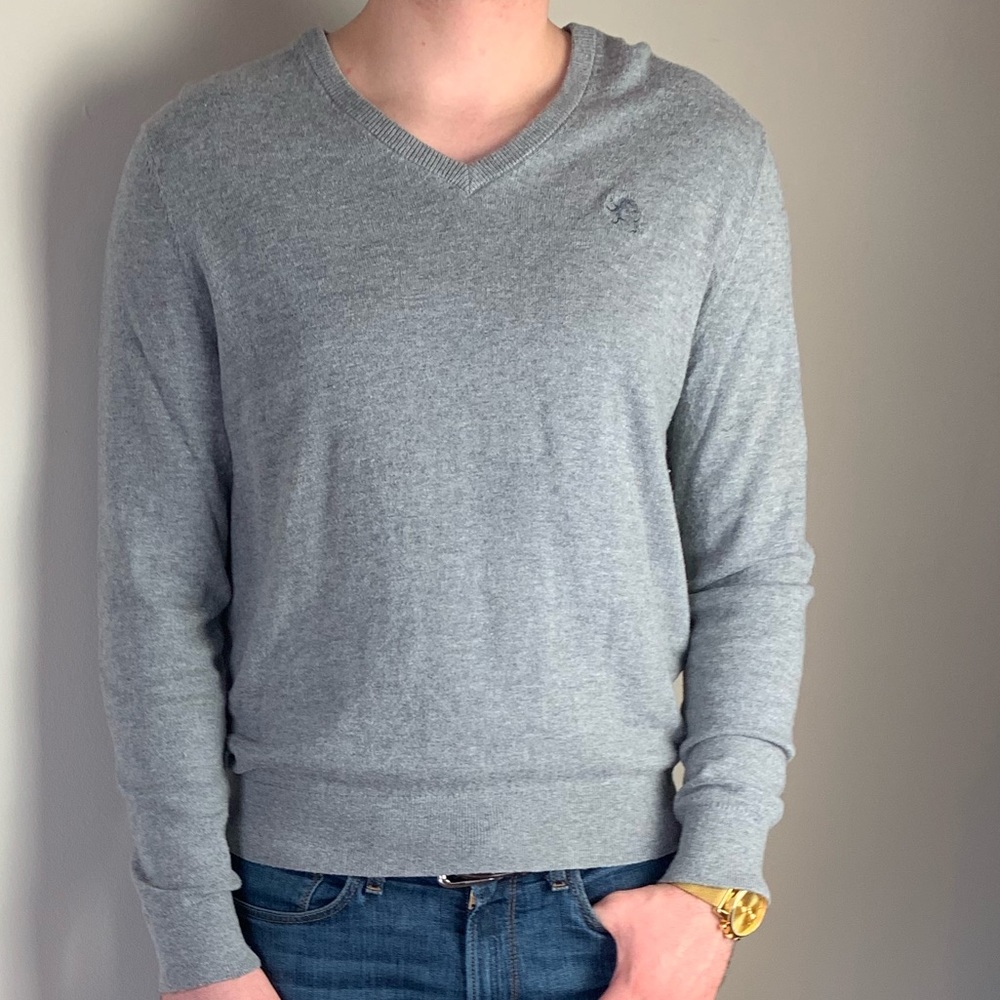 Express Grey V-Neck Wool Sweater